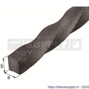 GAH Alberts vierkante stang gedraaid staal warmgewalst 8x8 mm 2 m - S51501469 - afbeelding 2