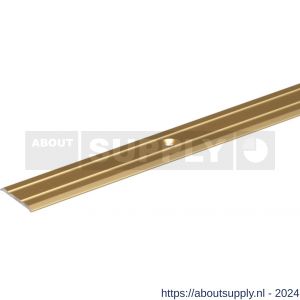 GAH Alberts overgangsprofiel voorgeboord aluminium goud geeloxeerd 38 mm 0,9 m SB - S51501566 - afbeelding 1