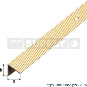 GAH Alberts trapbeschermingslijst aluminium goud geeloxeerd 21x21x1,8 mm 1 m - S51501523 - afbeelding 2