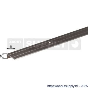 GAH Alberts trapbeschermingslijst geboord aluminium RVS geeloxeerd 24,5x20 mm 1 m SB - S51501509 - afbeelding 2