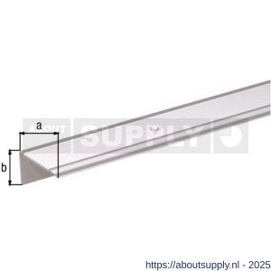 GAH Alberts trapbeschermingslijst geboord aluminium zilver geeloxeerd 43x23 mm 1 m SB - S51501516 - afbeelding 2