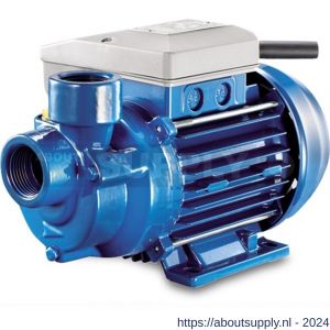 Foras centrifugaalpomp gietijzer 1 inch binnendraad 6 bar 230 V AC blauw type PE50FM - S51050966 - afbeelding 1