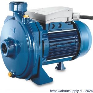 Foras centrifugaalpomp gietijzer 1.1/4 inch x 1 inch binnendraad 8 bar 10,3 A 230 V AC blauw type KM 214 M - S51050943 - afbeelding 1