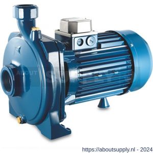 Foras centrifugaalpomp gietijzer 2 inch x 1.1/4 inch binnendraad 400-690 V blauw type KM 400/1 T - S51050939 - afbeelding 1