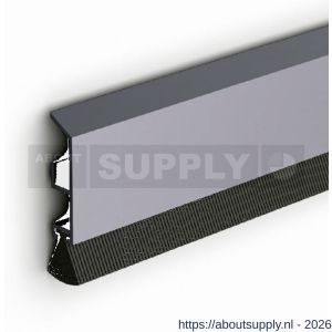 Ellen dorpelprofiel met borstel aluminium ADS-B 300 cm - S51010101 - afbeelding 4