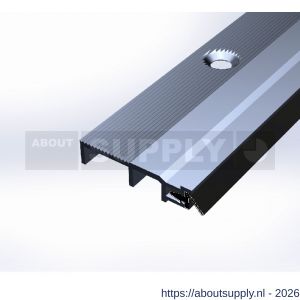 Ellen slijtdorpel profiel Threshold Seal R5 100 cm - S51010347 - afbeelding 1