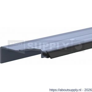 Ellen slijtdorpel profiel Threshold Seal R6 100 cm - S51010348 - afbeelding 1