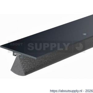 Ellen dorpelprofiel met borstel aluminium DBS 300 cm - S51010103 - afbeelding 1