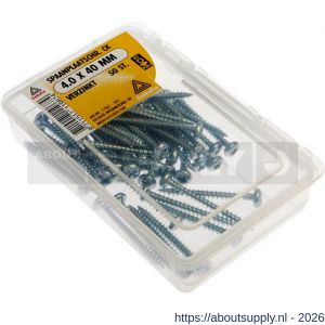 Deltafix spaanplaatschroef cilinderkop kruiskop verzinkt 4.0x40 mm kuipje 50 stuks - S21902072 - afbeelding 1