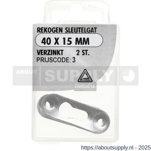 Deltafix rekoog met sleutelgat verzinkt 40x15 mm blister 2 stuks - S21904663 - afbeelding 1