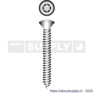 Marinetech parker lenskop Torx RVS A4 5.5x38 mm ISO 14587 blister 6 stuks - S21904607 - afbeelding 1