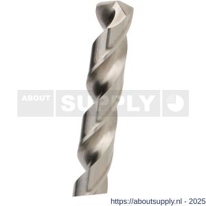 Diager HSS G Pro Grounded staalboor 4.1 mm dubbele punt set 10 stuks - S40877761 - afbeelding 2