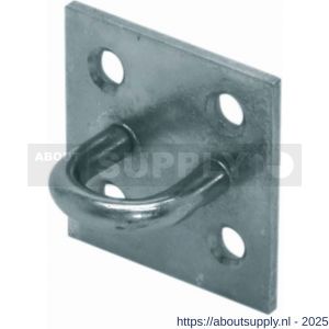 QlinQ oog op plaat 40x5x3 mm verzinkt - S40850218 - afbeelding 1