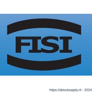 FISI CV-bevestigingsset 8x50 mm plug 10x50 mm sluitring verzinkt set 4 stuks - S40896500 - afbeelding 2
