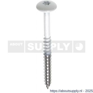 Fisinox kleurkopschroef 4,8x25 mm Torx TX 20 RVS A4 AISI 316 Ki-kern 161 ivoor - S40883431 - afbeelding 1