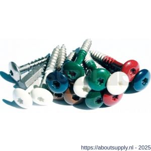 Fisinox kleurkopschroef 4,8x25 mm Torx TX 20 RVS A4 AISI 316 Ki-kern 161 ivoor - S40883431 - afbeelding 2