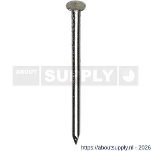 HJZ nagel 3.0x65 mm bombe kop RVS A2 1 kg - S40870061 - afbeelding 1