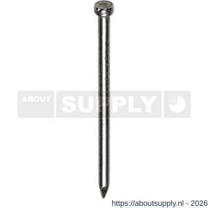 HJZ nagel 2.7x50 mm verloren kop RVS A2 1 kg - S40870161 - afbeelding 1