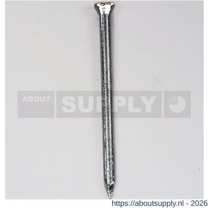 HJZ nagel 2.5x40 mm plat-conisch kop verzinkt - S40870256 - afbeelding 1