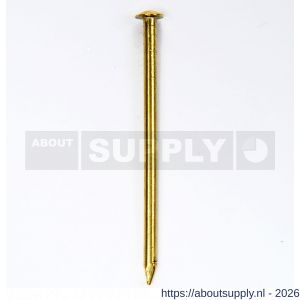 HJZ Profi nagel 1.6x25 mm bombe kop messing - S40870022 - afbeelding 1