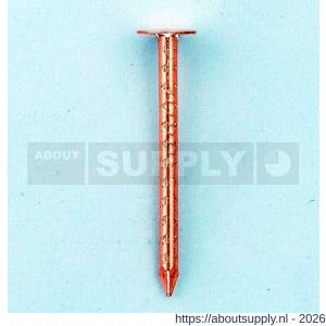 HJZ asfaltnagel gekartelde schacht 2.8x25 mm plattekop roodkoper 1 kg - S40870006 - afbeelding 1