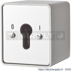 Maasland SM1R sleutelschakelaar opbouw continu 1 - S11301774 - afbeelding 2