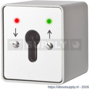 Maasland SM2RSL sleutelschakelaar opbouw 2x LED rood-groen en - S11301785 - afbeelding 1