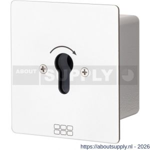 Maasland FM1T sleutelschakelaar inbouw puls 1 - S11301776 - afbeelding 1