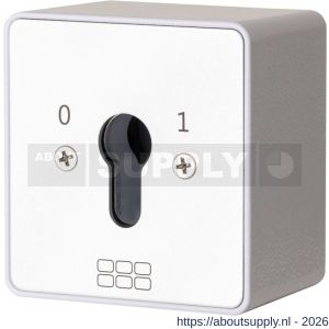 Maasland SM1R sleutelschakelaar opbouw continu 1 - S11301774 - afbeelding 1