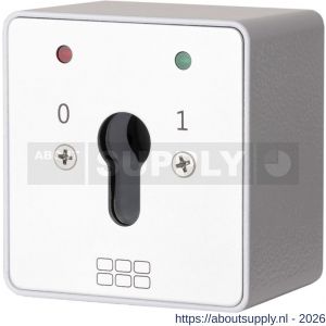 Maasland SM1RSL sleutelschakelaar opbouw 2x LED rood-groen en - S11301784 - afbeelding 1