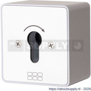 Maasland SM1T sleutelschakelaar opbouw puls 1 - S11301772 - afbeelding 1