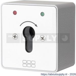 Maasland SM1TSL sleutelschakelaar opbouw 2x LED rood-groen en - S11301780 - afbeelding 1