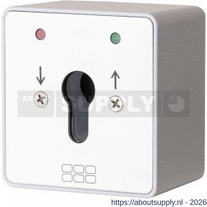 Maasland SM2TSL sleutelschakelaar opbouw 2x LED rood-groen en - S11301781 - afbeelding 1