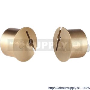Maasland DMC121 deurstandsignalering wissel messing 21 - S11301175 - afbeelding 1