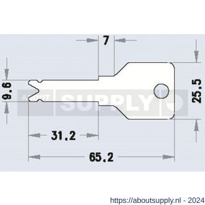 Evva nieuw zilver sleutel geleverd als nalevering zonder cilinder - S22102716 - afbeelding 2