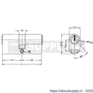 Evva ovaalcilinder TSC 31/31=62 mm stiftsleutel conventioneel verschillend sluitend messing vernikkeld - S22100538 - afbeelding 2
