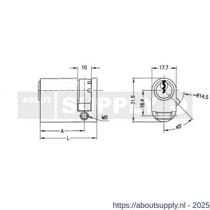 Evva ovaalcilinder TSC 9/32=41 mm stiftsleutel conventioneel verschillend sluitend messing vernikkeld - S22100539 - afbeelding 2