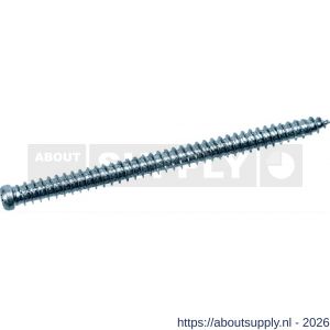 QZ 853 kozijnschroef cilinderkop 7.5x42 mm Torx TX 30 staal gehard verzinkt - S50000020 - afbeelding 1