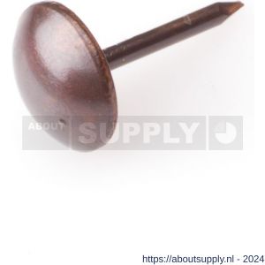 Homefix meubelnagel brons kop 4.6 mm 1.0x12 mm blister 30 stuks - S51402308 - afbeelding 1