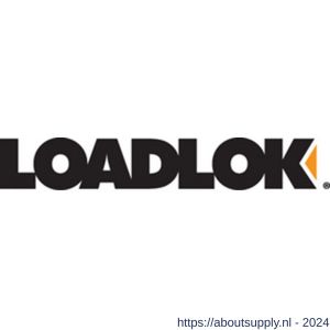 Berdal Loadlok spanband Professioneel met ratel en haken 50 mm 9 m 2000/4000 daN oranje - S50200910 - afbeelding 1
