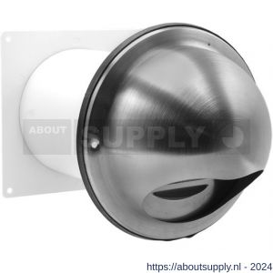Nedco ventilatie buitenrooster bol model diameter 100 mm verpakt in krimpfolie RVS AiSi 316 - S24001334 - afbeelding 1