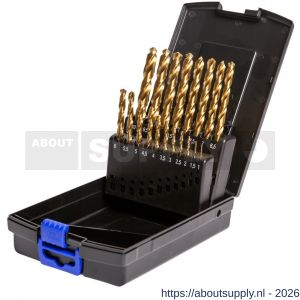 Labor KR016190 RoseBox spiraal metaalborenset DIN 338 HSS-G geslepen TiN gecoat 19 delig 1-10 mm x 0.5 mm - S50304961 - afbeelding 1