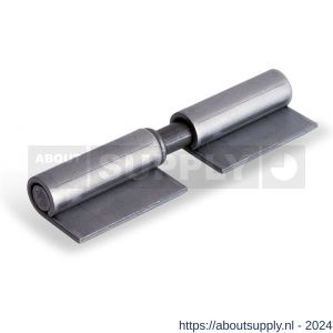 Dulimex DX HPL WR LP 080 aanlaspaumelle losse pen gegalvaniseerd met blad 80x8 mm blank staal - S30204716 - afbeelding 1