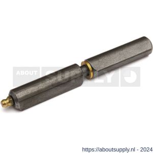 IBFM Dulimex DX HPL WR SM 120 aanlaspaumelle smeernippel stalen pen en messing ring 120x16 mm blank staal - S30201820 - afbeelding 1