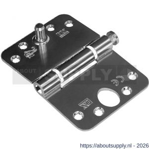 Dulimex DX H165E12895125 nylon glijlagerscharnier 3 mm doorgezette knoop ronde hoeken 125x89 mm verzinkte pen staal verzinkt SKG*** - S30204995 - afbeelding 1