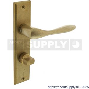 Intersteel Living 0201 deurkruk Banaan met schild rechthoekig 181x41 mm WC 63/8 mm messing getrommeld - S26007903 - afbeelding 1