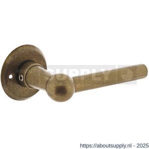 Intersteel 0446 deurkruk L/L bol met rozet diameter 50x5 mm messing getrommeld - S26010139 - afbeelding 1