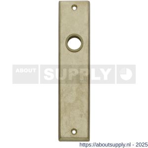 Intersteel 2568 renovatie kortschild rechthoekig 181x41x7 mm blind messing getrommeld - S26002813 - afbeelding 1