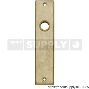 Intersteel 2568 renovatie kortschild rechthoekig 181x41x7 mm sleutelgat 72 mm messing getrommeld - S26002815 - afbeelding 1