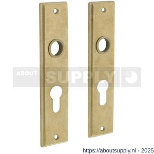 Intersteel 2568 renovatie kortschild rechthoekig 181x41x7 mm profielcilindergat 55 mm messing getrommeld - S26002816 - afbeelding 1